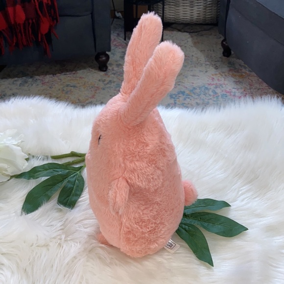 Hello Bello Bitty Bunny Plush Stuffed Bunny Two Year Anniversary Limited Edition - Picture 5 of 17
